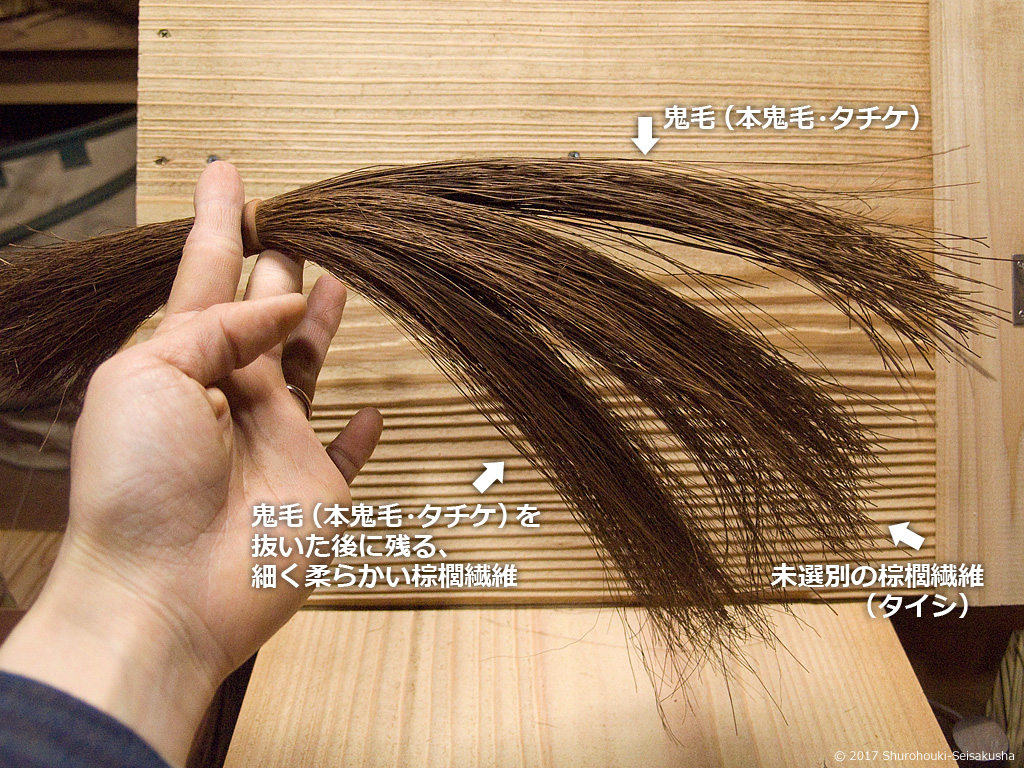 同量の棕櫚繊維の比較2