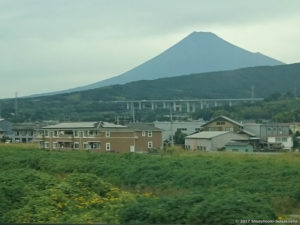 その他棕櫚関連-出張