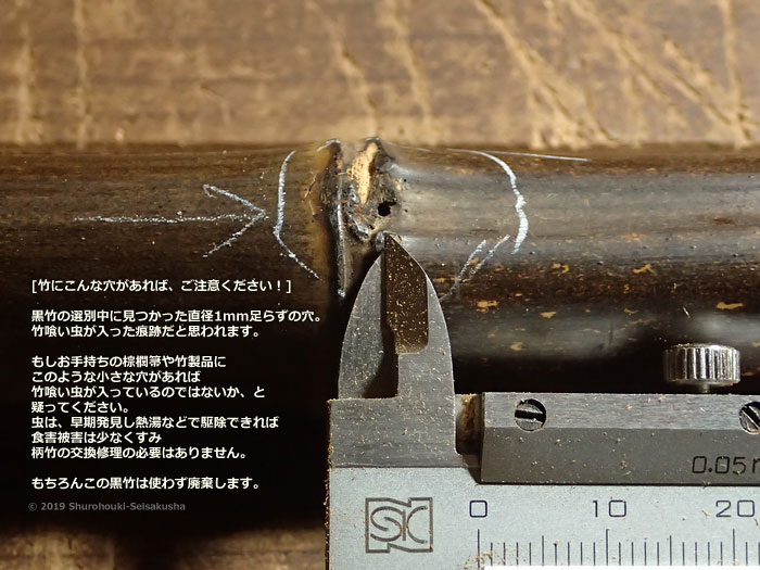竹に穴=竹喰い虫かもしれません 竹に穴=竹喰い虫かもしれません