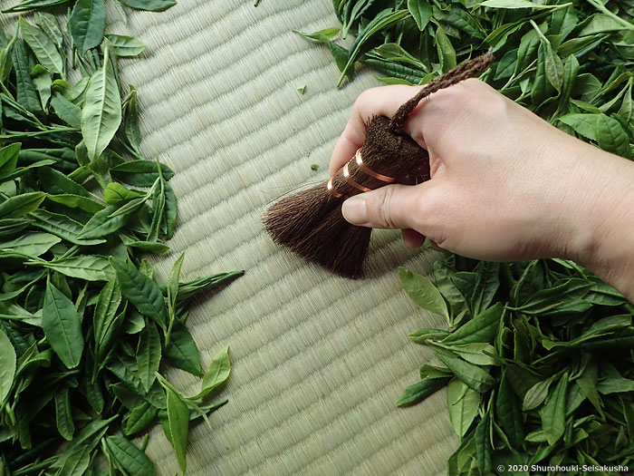 棕櫚皮荒神箒をお茶摘みで使う