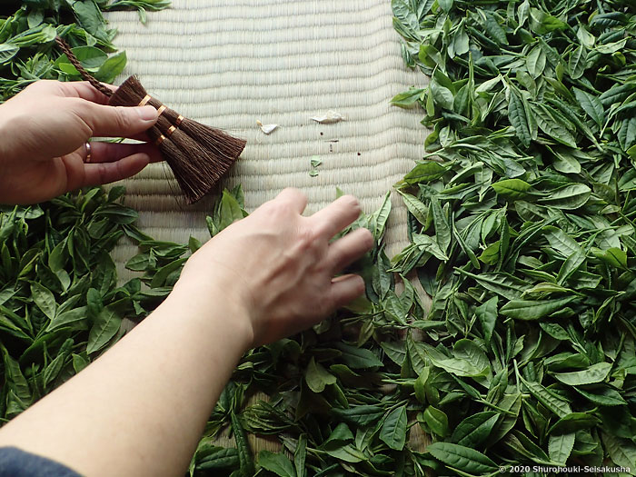 棕櫚皮荒神箒をお茶摘みで使う