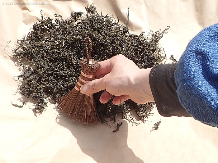 棕櫚荒神箒をお茶摘みで使う
