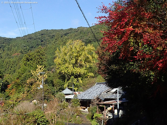 製作風景-【準備】工房と銀杏・紅葉