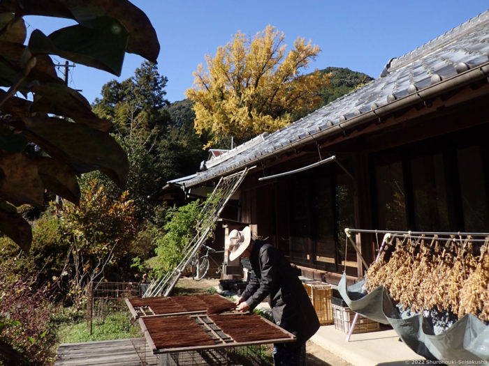 製作風景-【準備】鬼毛の毛ごしらえ